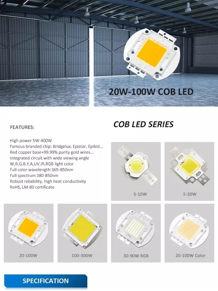 chip led 20w