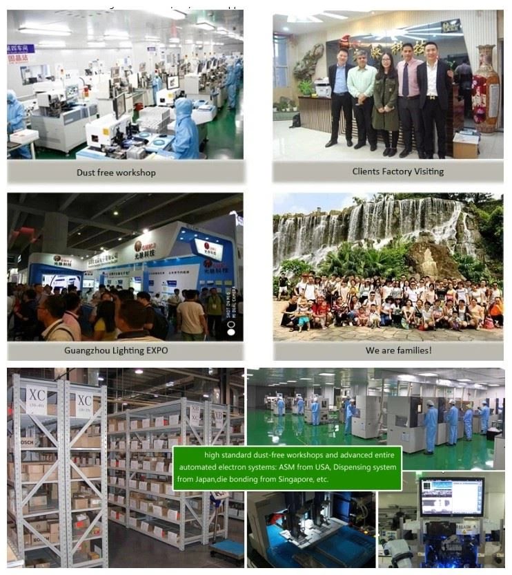 sales term and warehouse