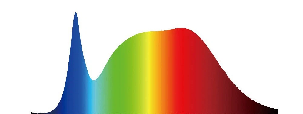 spectrum spectrum