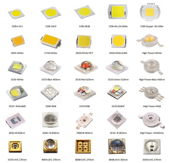 info-809-781 info-809-781