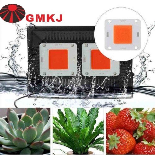 led chip 50w