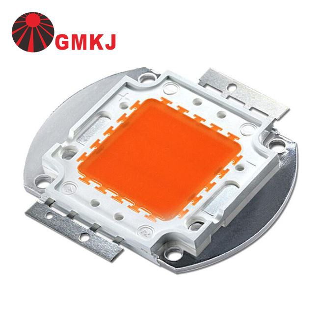 LED Grow COB Chip Diode 30W 50W 80W 100W
