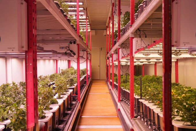 Plant factory lights Plant factory lights