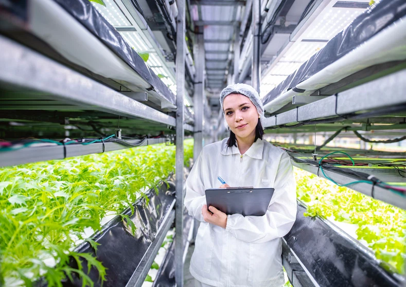 led grow light plant factory led grow light plant factory